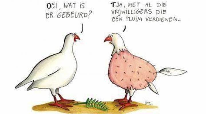 Vrijwilligers